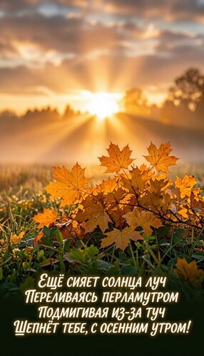 Открытка С осенним утром