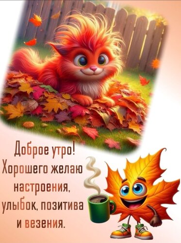 Открытка Доброе утро
