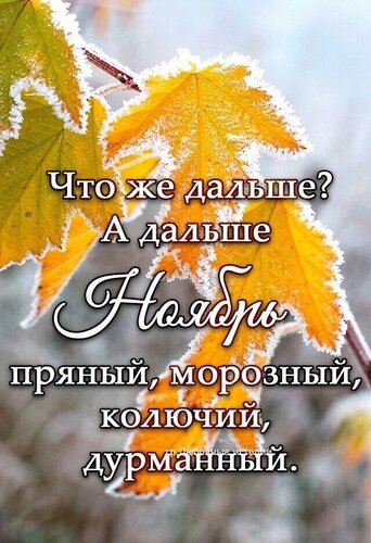 Открытка Осень