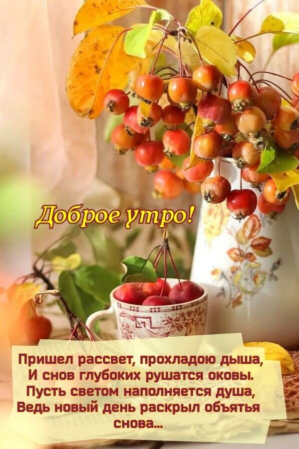 Открытка Доброе утро