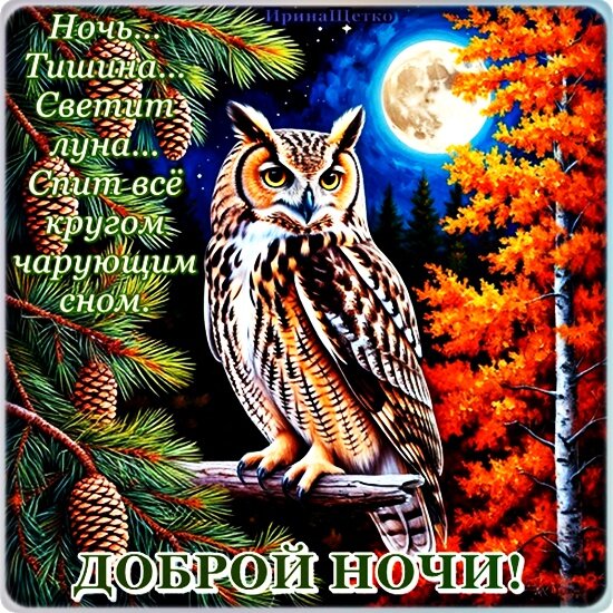 Открытка Доброй ночи!