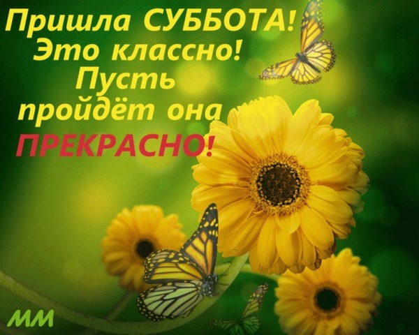 доброе утро субботы в картинках смотреть
