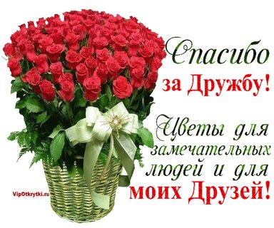 💐💝 КРАСИВОЕ СПАСИБО ДРУЗЬЯМ ЗА ПОЗДРАВЛЕНИЯ 🌹