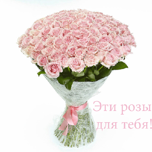 buket-iz-35-roz.gif