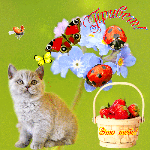 Анимированная открытка Привет! Это тебе!