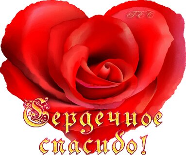 Открытки со словами большое спасибо. Огромная благодарность.