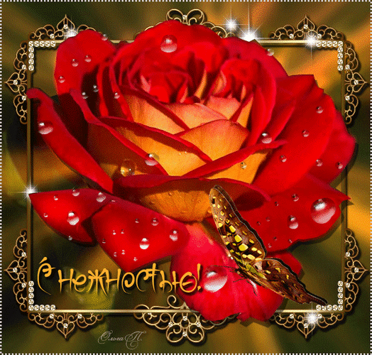 Анимированная открытка С нежностью сад роз