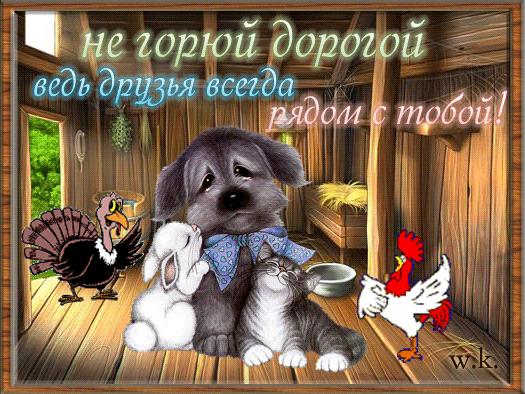 картинки прикольные на каждый день