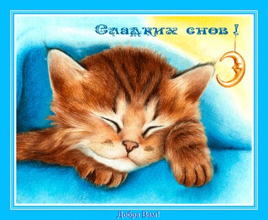 Открытки сладких снов котенок - 79 фото