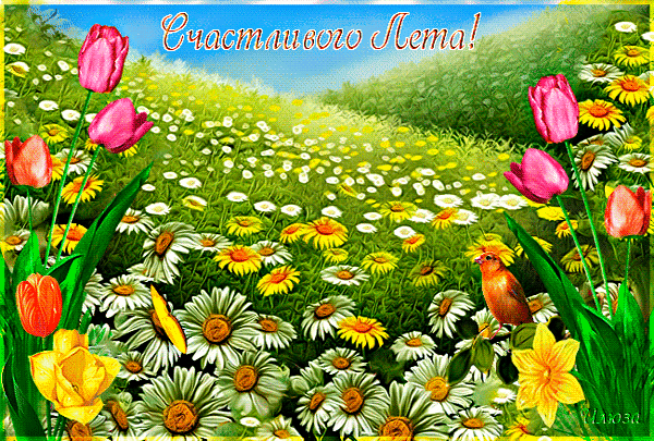 Анимированная открытка Счастливого Лета!