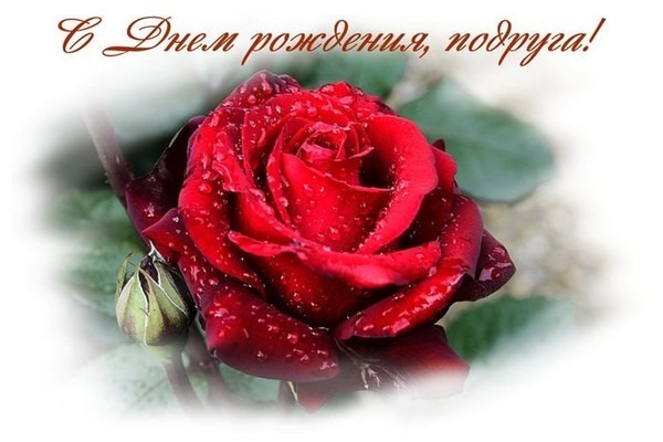 Поздравления с днем рождения для подруги в стихах и прозе - fitdiets.ru