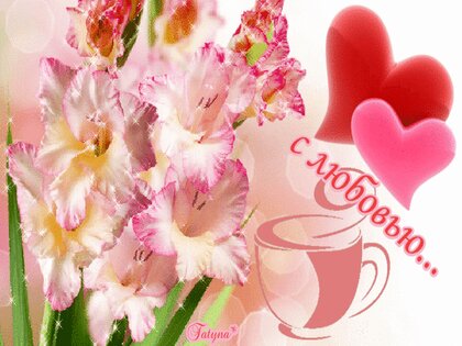 Милые открытки цветы Изображения – скачать бесплатно на Freepik