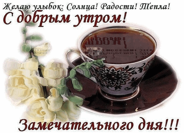 цветы и кофе утром фото онлайн цветы и кофе утром фото