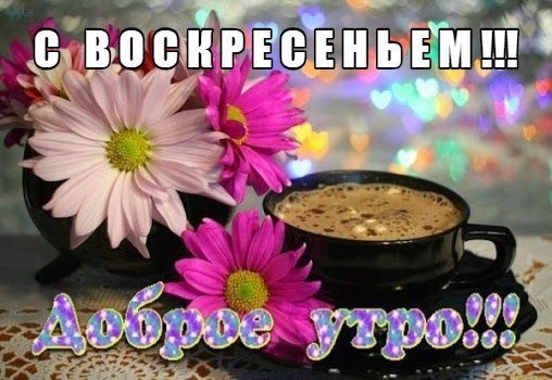 доброе утро красивые картинки фото онлайн доброе утро красивые картинки фото