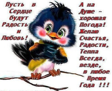 Пусть Вас Сопровождают: Добрые Пожелания Счастья, Удачи и Добра в Прозе