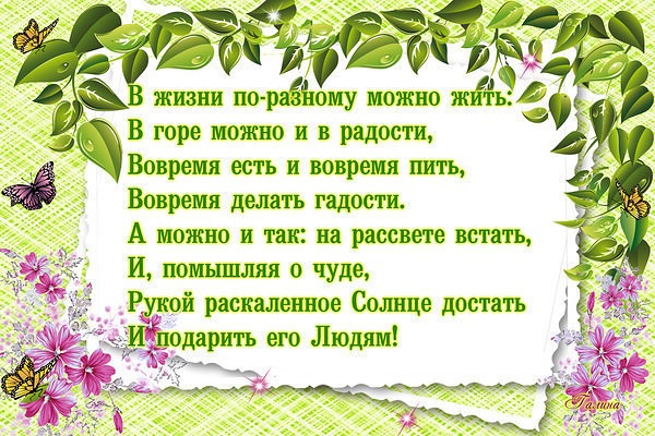 Какие цветы можно посадить в июне семенами, клубнями или 27 Какие цветы можно посадить в июне семенами, клубнями или 22