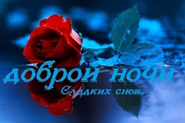 Открытка ДОБРОЙ НОЧИ Сладких снов