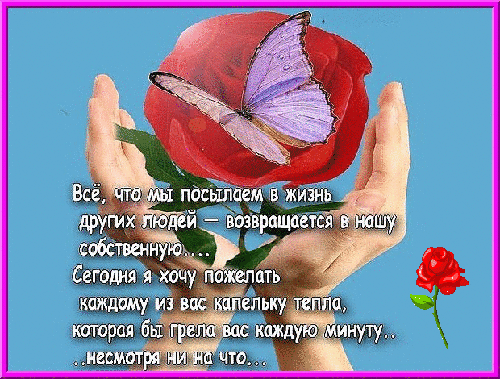 Твердые духи своими руками рецепты 97 Твердые духи своими руками рецепты 18