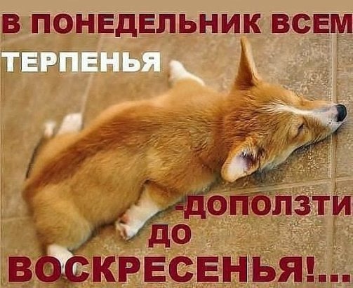 Тракторная болталка