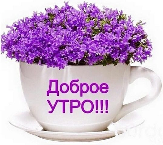 Открытка Доброе УТРО! цветы в чашке