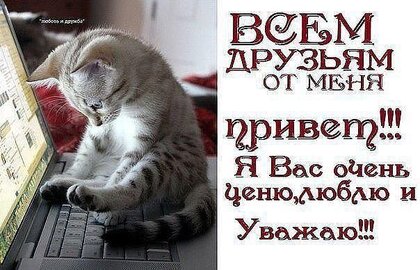 доброе утро анимация приветствие: 1 тыс изображений найдено в Яндекс Картинках