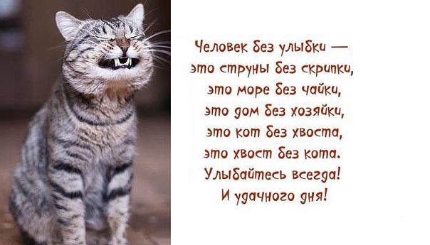 Открытка Человек без улыбки-это струны без скрипки, это море без