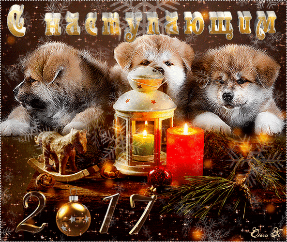 Новогодний шпиц. С наступающим гиф. Гиф собака и новый год. Новогодние открытки с собаками мерцающие. Наступающим gif