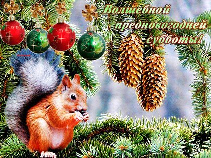 volshebnoj-prednovogodnej-subboty.jpg?z=360