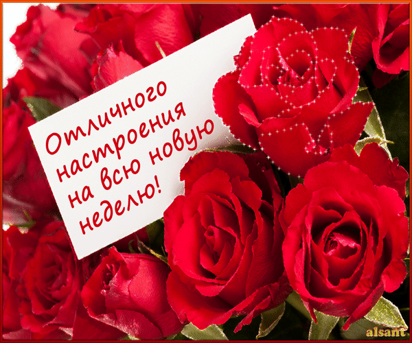 https://3d-galleru.ru/cards/6/6/1cg6z63a4ahawl8g/otkrytka-cvety.gif