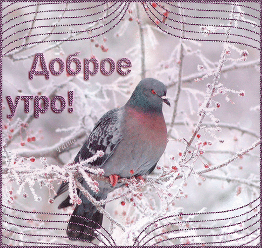 Анимированная открытка Доброе утро! зима природа