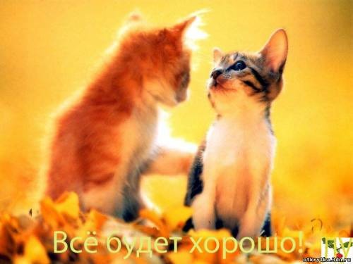 Открытка держись все Открытка держись все