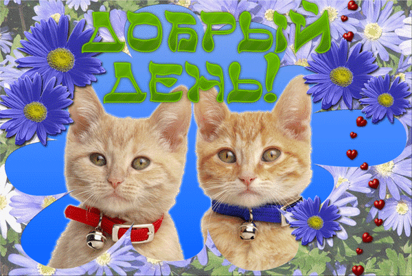Анимированная открытка Добрый день! 2015 кот ожерелье мода стекло кабошон серебряное животное кулон подвески кошка