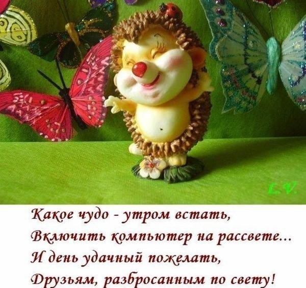 картинки красивые с добрым днём онлайн картинки красивые с добрым днём