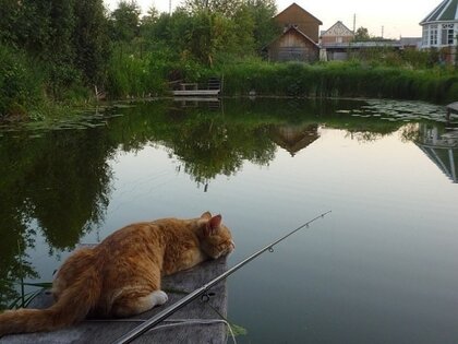 Открытка Красота в Деталях Рыбалка