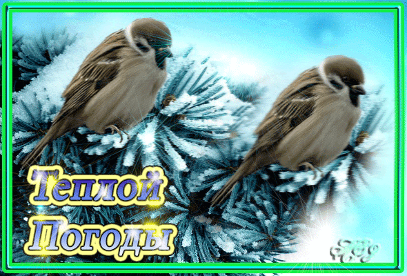 Анимированная открытка Теплой Погоды значок снег живые обои