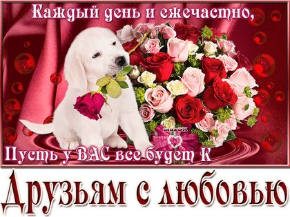 Картинки для Одноклассников красивые (38 фото)