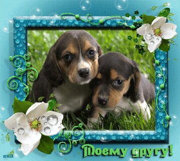 Яндекс открытки спасибо с собаками бесплатно