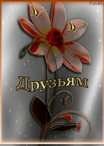 Анимированная открытка Друзьям цветок