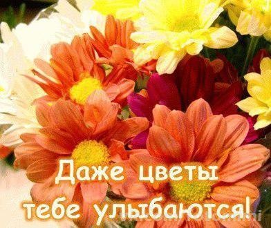 картинки открытки красотка онлайн картинки открытки красотка