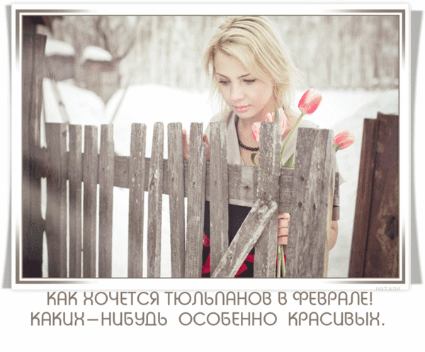 Анимированная открытка Как хочется тюльпанов в феврале! Каких-нибудь особенно красивых.