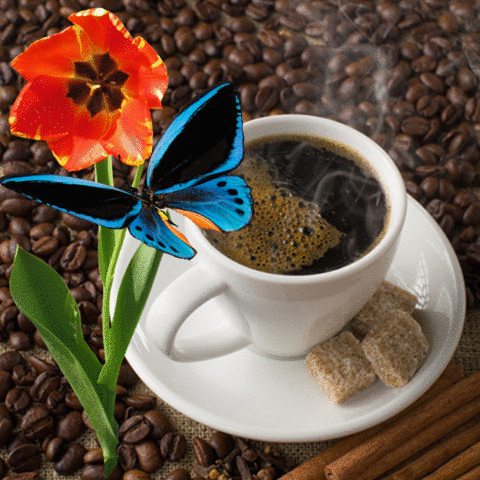 Анимированная открытка Чашка с напитком, бабочка, тюльпан, зёрна кофе, сахар кусковой