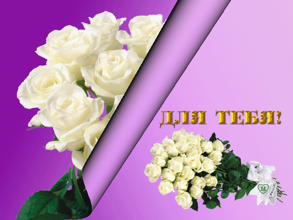 Открытки с днем рождения белые розы. Открытки с белыми розами. Букет роз для тебя. Цветы для племянницы.