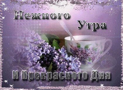 Пожелания с добрым утром и с хорошим днем🌹Доброе утро, хорошего дня ТЕБЕ 🌹