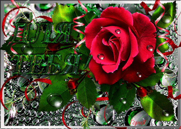 Красивые мерцающие открытки розы