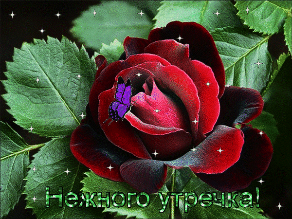 Анимированная открытка Нежного утречка!