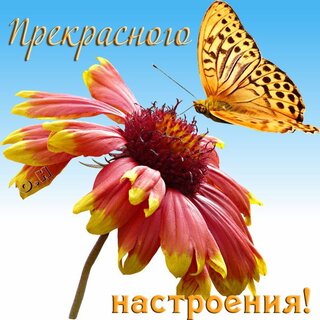 Одно поздравление на странице фото 772