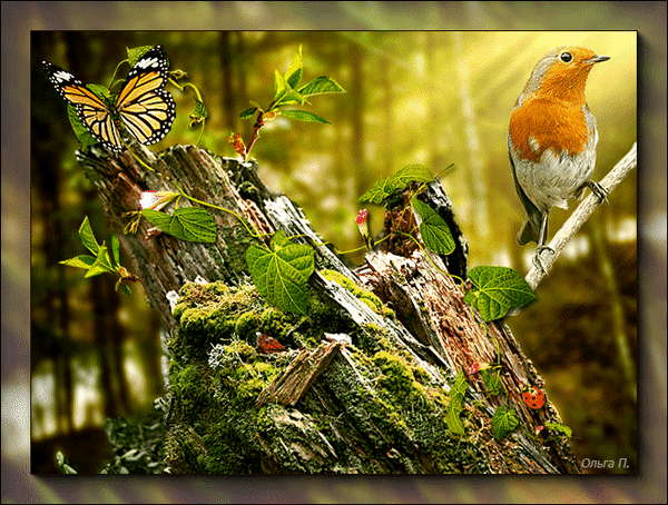 Песни птицы живых. Птицы в летнем лесу. Живые птицы. Красивые анимации птиц. Анимационные птицы на фоне природы.
