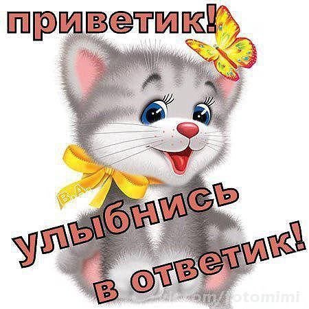 Открытка Приветик