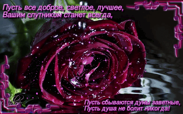 Открытка со словами для тебя. Анимационные бордовые розы. Красивые розы с надписью. Мерцающие открытки с розами словами.