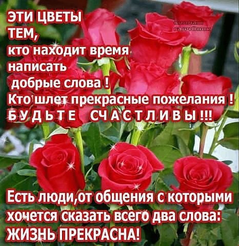 Поздравления